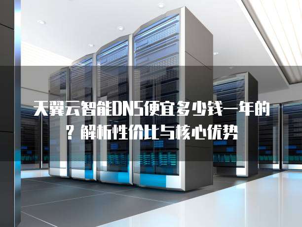 天翼云智能DNS便宜多少钱一年的?解析性价比与核心优势