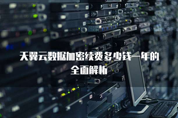 天翼云数据加密续费多少钱一年的全面解析
