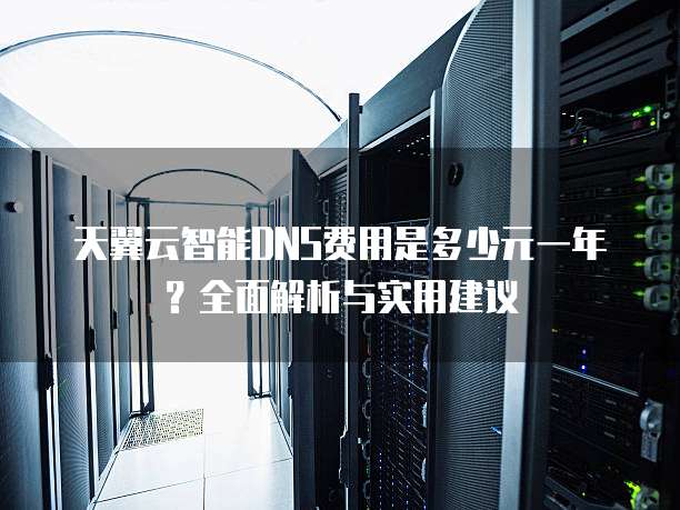 天翼云智能DNS费用是多少元一年？全面解析与实用建议