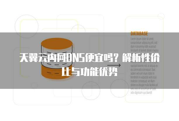 天翼云内网DNS便宜吗?解析性价比与功能优势