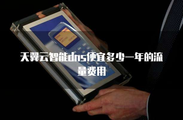 天翼云智能dns便宜多少一年的流量费用