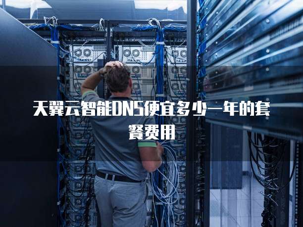 天翼云智能DNS便宜多少一年的套餐费用
