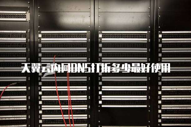 天翼云内网DNS打折多少最好使用