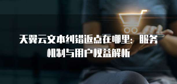 天翼云文本纠错返点在哪里:服务机制与用户权益解析