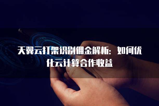 天翼云打架识别佣金解析:如何优化云计算合作收益