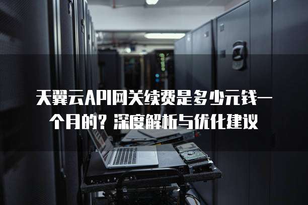 天翼云API网关续费是多少元钱一个月的?深度解析与优化建议
