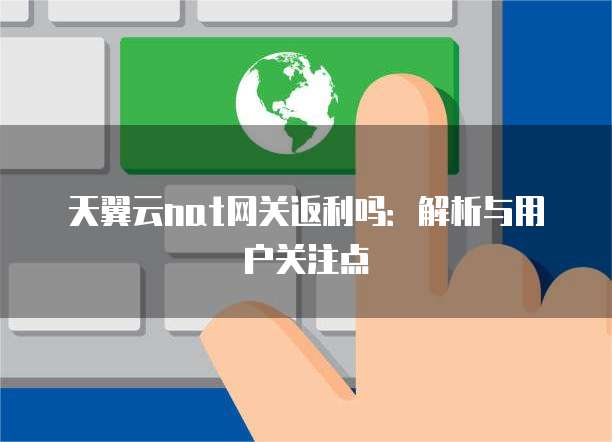 天翼云nat网关返利吗:解析与用户关注点