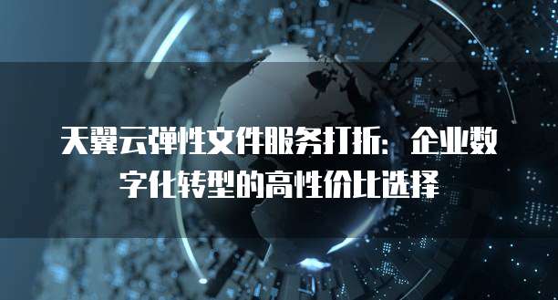 天翼云弹性文件服务打折:企业数字化转型的高性价比选择