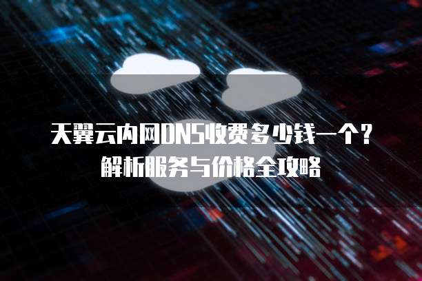 天翼云内网DNS收费多少钱一个?解析服务与价格全攻略