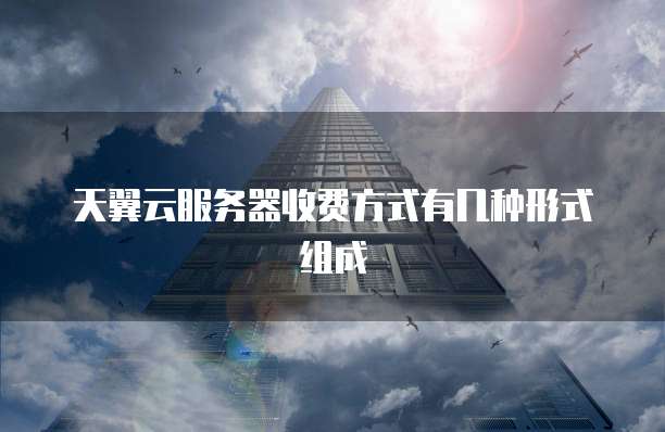 天翼云服务器收费方式有几种形式组成