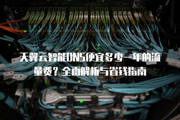 天翼云智能DNS便宜多少一年的流量费？全面解析与省钱指南