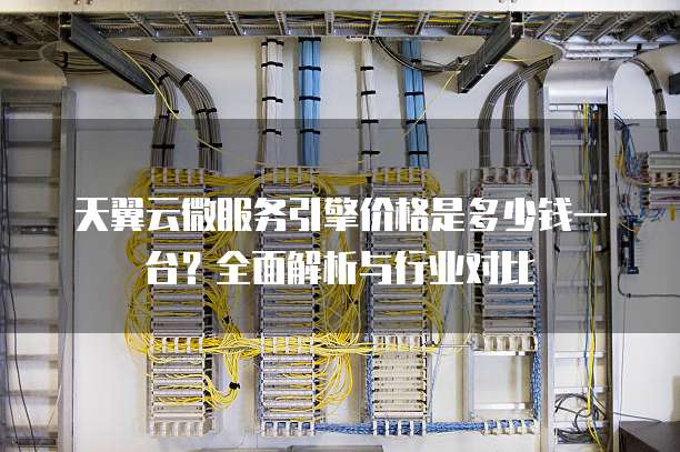 天翼云微服务引擎价格是多少钱一台?全面解析与行业对比