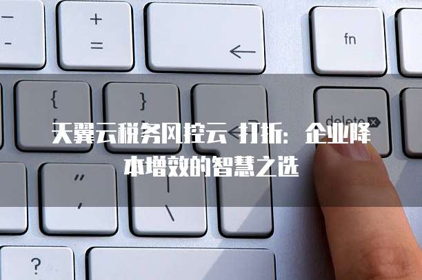 天翼云税务风控云 打折:企业降本增效的智慧之选