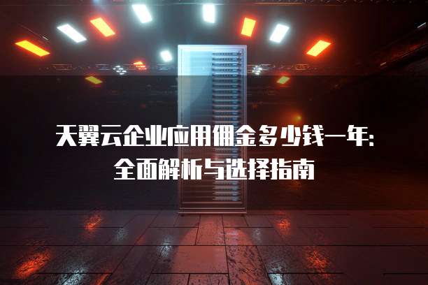 天翼云企业应用佣金多少钱一年:全面解析与选择指南