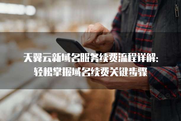 天翼云新域名服务续费流程详解:轻松掌握域名续费关键步骤