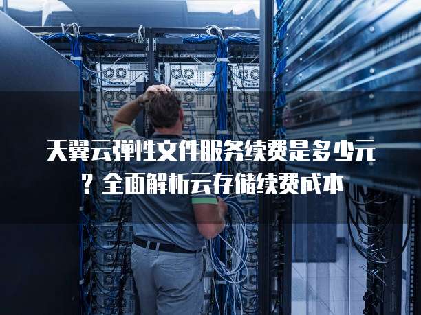 天翼云弹性文件服务续费是多少元?全面解析云存储续费成本