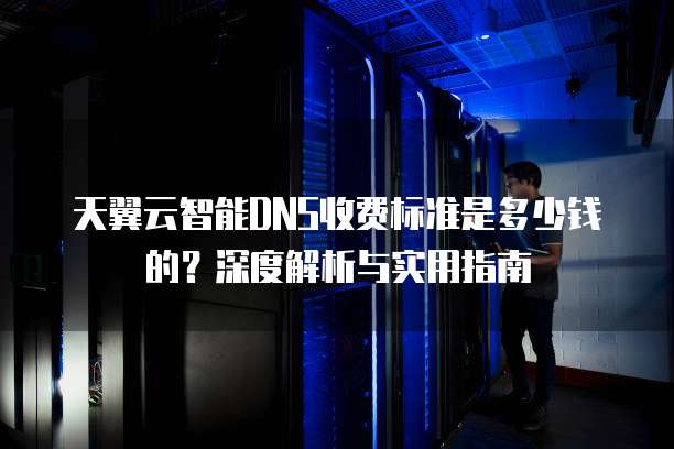天翼云智能DNS收费标准是多少钱的?深度解析与实用指南