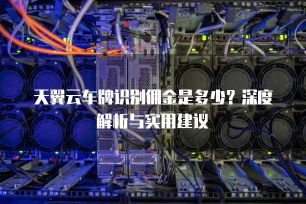 天翼云车牌识别佣金是多少？深度解析与实用建议