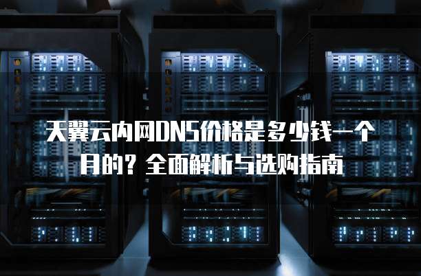 天翼云内网DNS价格是多少钱一个月的?全面解析与选购指南