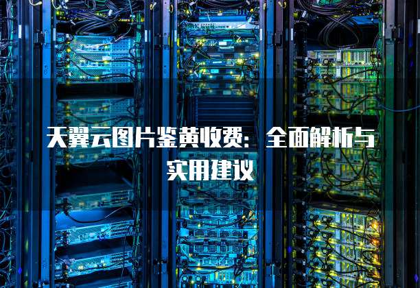 天翼云图片鉴黄收费:全面解析与实用建议
