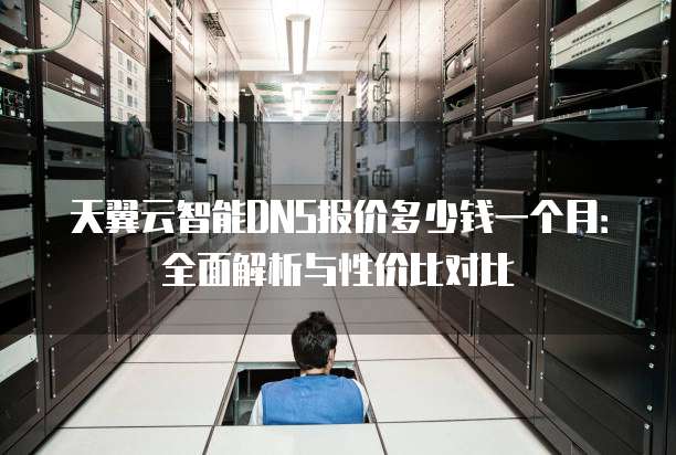 天翼云智能DNS报价多少钱一个月:全面解析与性价比对比