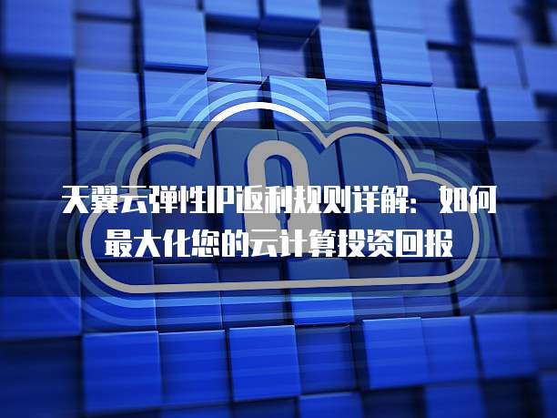 天翼云弹性IP返利规则详解:如何最大化您的云计算投资回报