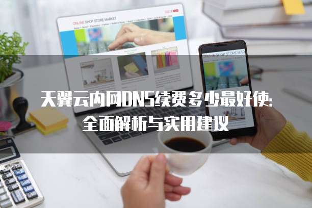 天翼云内网DNS续费多少最好使:全面解析与实用建议