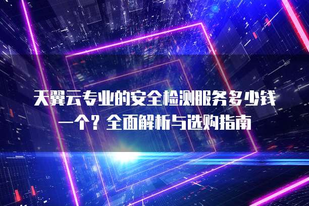 天翼云专业的安全检测服务多少钱一个?全面解析与选购指南