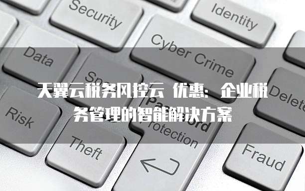 天翼云税务风控云 优惠:企业税务管理的智能解决方案