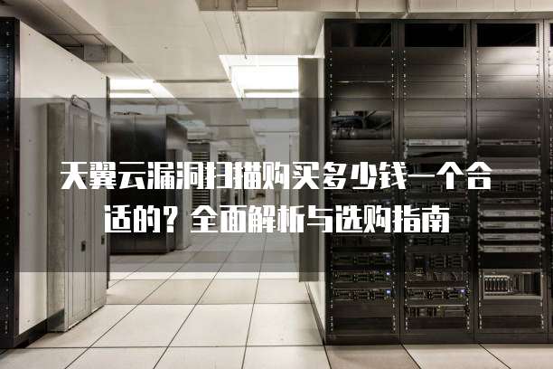 天翼云漏洞扫描购买多少钱一个合适的?全面解析与选购指南