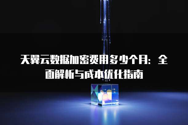 天翼云数据加密费用多少个月:全面解析与成本优化指南