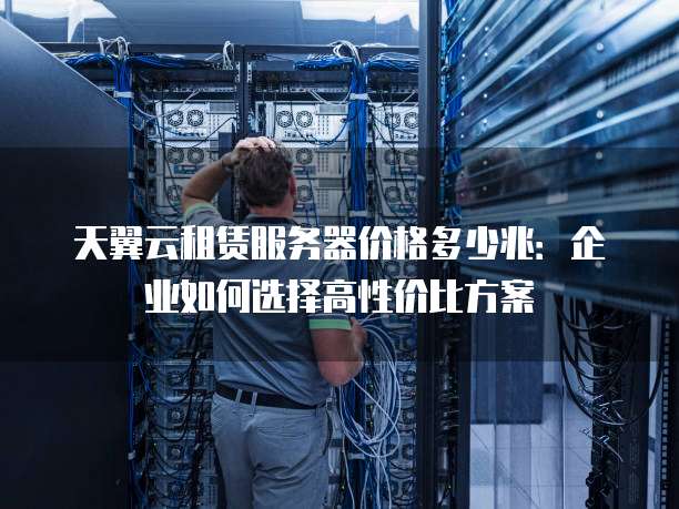 天翼云租赁服务器价格多少兆：企业如何选择高性价比方案
