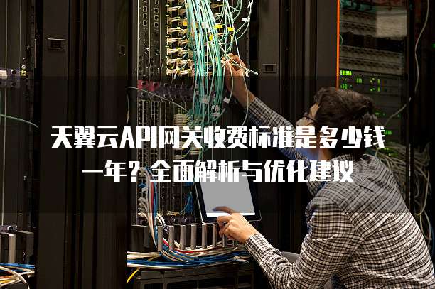 天翼云API网关收费标准是多少钱一年？全面解析与优化建议