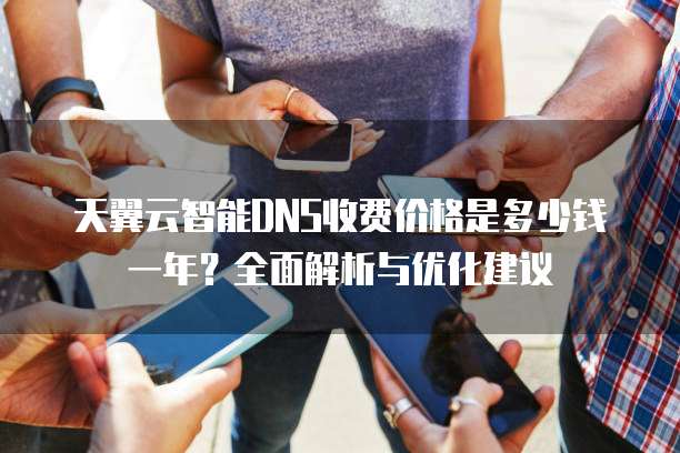 天翼云智能DNS收费价格是多少钱一年？全面解析与优化建议