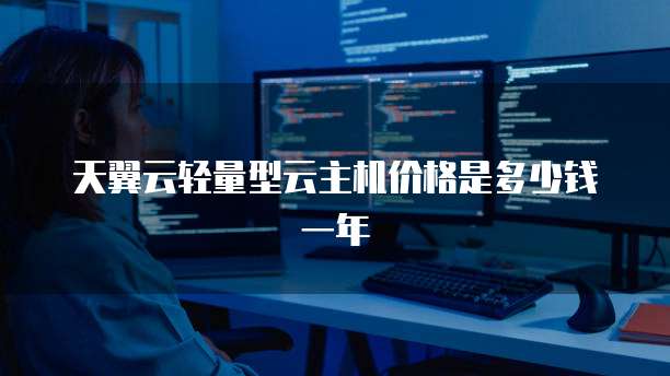 天翼云轻量型云主机价格是多少钱一年