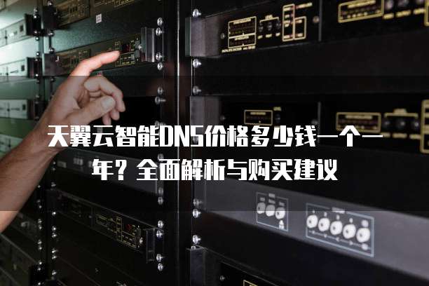 天翼云智能DNS价格多少钱一个一年?全面解析与购买建议