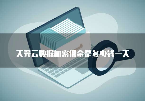 天翼云数据加密佣金是多少钱一天