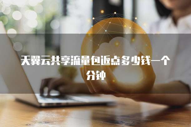 天翼云共享流量包返点多少钱一个分钟