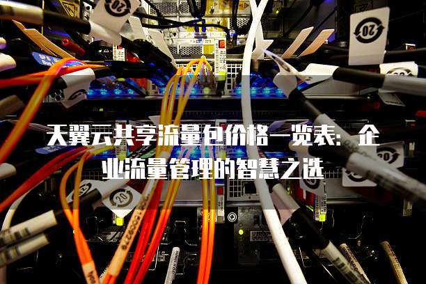 天翼云共享流量包价格一览表:企业流量管理的智慧之选