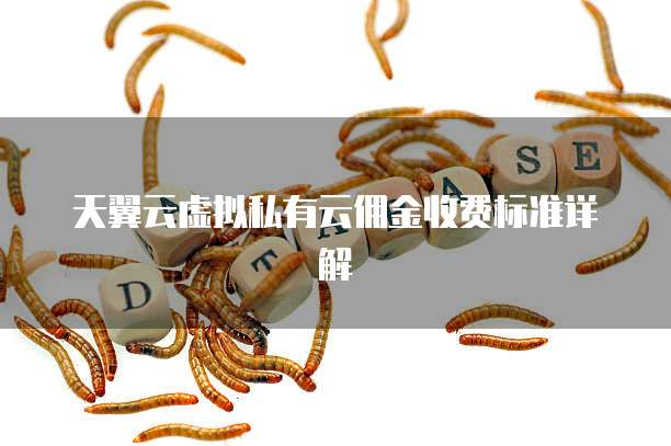 天翼云虚拟私有云佣金收费标准详解