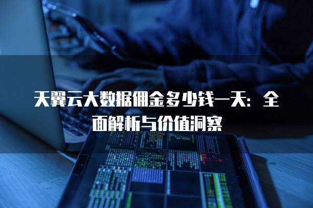 天翼云大数据佣金多少钱一天:全面解析与价值洞察