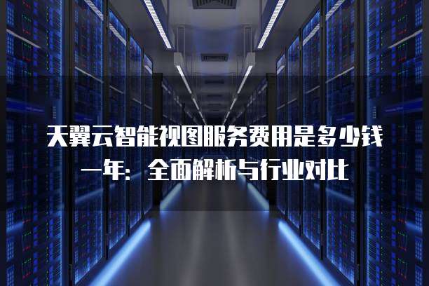 天翼云智能视图服务费用是多少钱一年：全面解析与行业对比