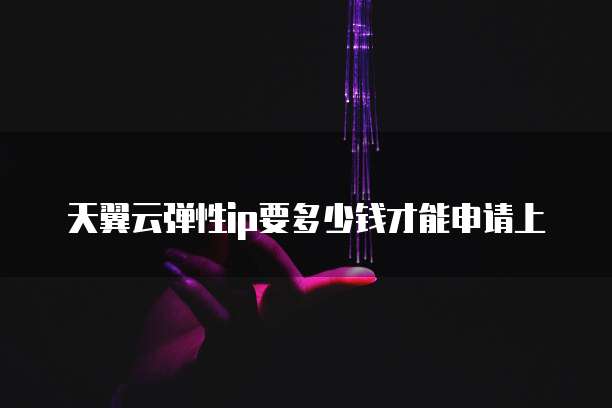 天翼云弹性ip要多少钱才能申请上