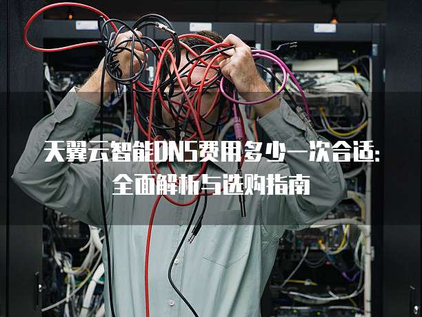 天翼云智能DNS费用多少一次合适:全面解析与选购指南
