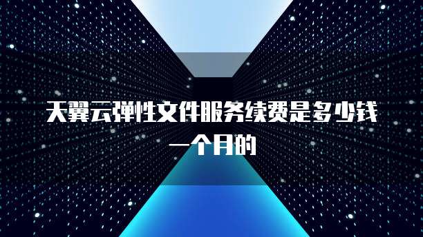 天翼云弹性文件服务续费是多少钱一个月的