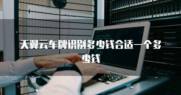 天翼云车牌识别多少钱合适一个多少钱