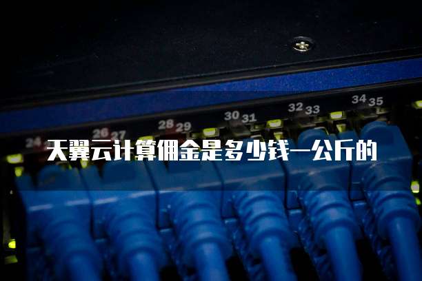 天翼云计算佣金是多少钱一公斤的