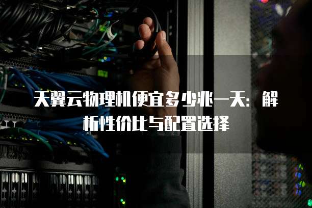 天翼云物理机便宜多少兆一天:解析性价比与配置选择