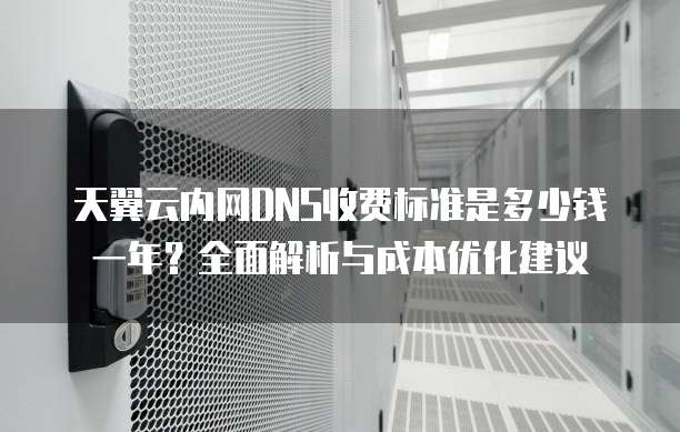 天翼云内网DNS收费标准是多少钱一年?全面解析与成本优化建议