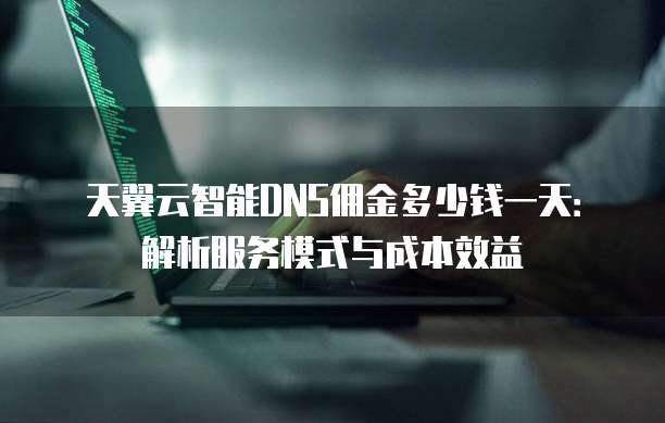 天翼云智能DNS佣金多少钱一天:解析服务模式与成本效益